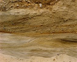 Cross-bedded glacial outwash sands, photographed at a gravel pit near Costessey, Norfolk. P210925 BGS© NERC